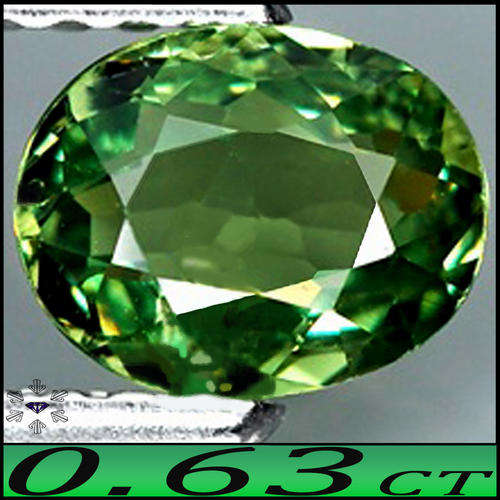 0.63CT DEEP GREEN DEMANTOID GARNET [I1] ~ DIAMOND LUSTRE!! OVAL UNTREATED GEM