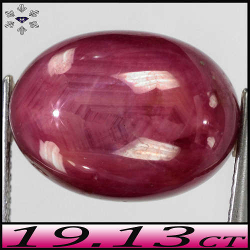 19.13ct Medium Purplish Deep Red Star Ruby - Opaque India Cabochon Oval (Gentle Heat)