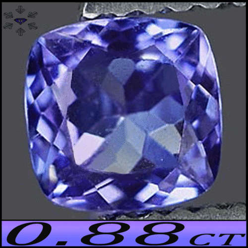 0.88CT NATURAL TOP INTENSE VIOLET BLUE TANZANITE [VVS] ~ A CHARMING CUSHION POLISHED GEMSTONE.