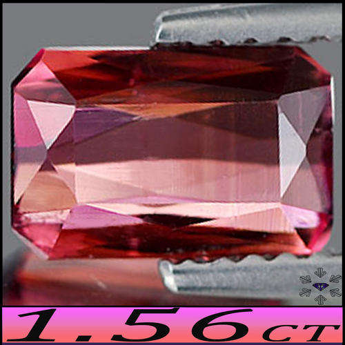 1.56CT MOUTH WATERING UNTREATED WATER MELON TOURMALINE [VS] ~ VIVID PURPLISH RED MOZAMBIQUE GEM