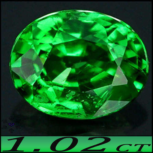 1.02ct TSAVORITE GARNET ~ UNTREATED 100% NATURAL VIVID GREEN OVAL GEM