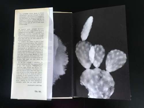 Cacti and Other Succulents - Lieut-General Sir Oliver Leese - AUTOGRAPHED