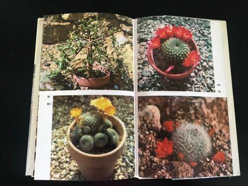 Cacti and Other Succulents - Lieut-General Sir Oliver Leese - AUTOGRAPHED