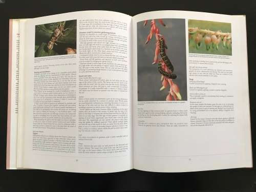 Gasterias of South Africa: A New Revision of a Major Succulent Group. Ernst van Jaarsveld.