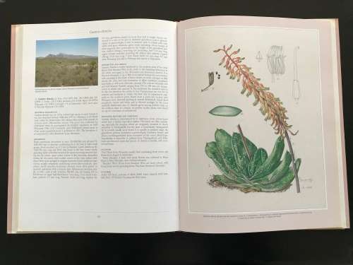 Gasterias of South Africa: A New Revision of a Major Succulent Group. Ernst van Jaarsveld.