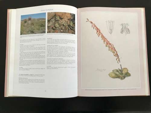 Gasterias of South Africa: A New Revision of a Major Succulent Group. Ernst van Jaarsveld.