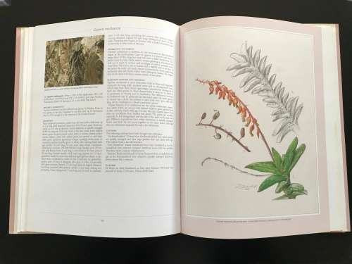 Gasterias of South Africa: A New Revision of a Major Succulent Group. Ernst van Jaarsveld.