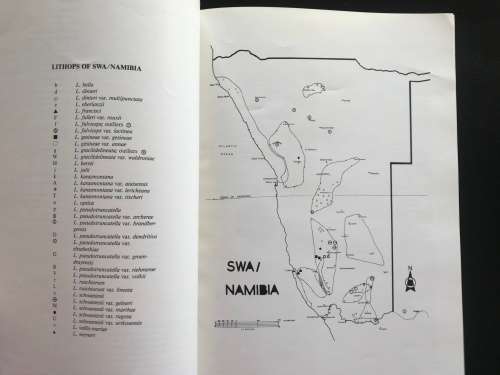 Lithops of SWA / Namibia - Desmond Cole