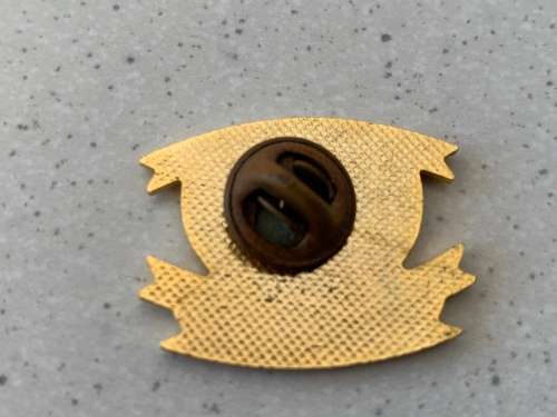 Wales vs South Africa - Attendance Millennium Stadium - Rugby Match Pin Badge