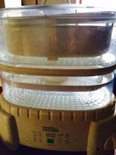 STEAM SUPREME STEAMER