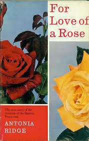 FOR THE LOVE OF A ROSE by Antonia Ridge
