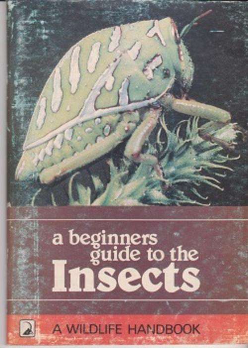 A BEGINNER'S GUIDE TO THE INSECTS by Jason G H Londt