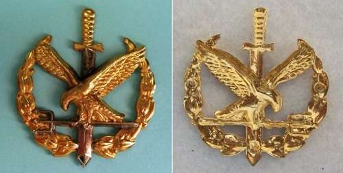 Special Task Force - Operator badge - 3 pins