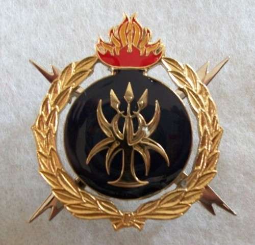 SAP / SAPS Bomb Disposal: Explosive Technician (Demolition expert) - ORIGINAL