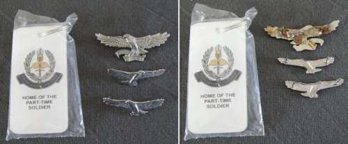 Regiment Oranje Rivier (6 of 6) - Beret Badge and Collar Badges and ROR Keyring