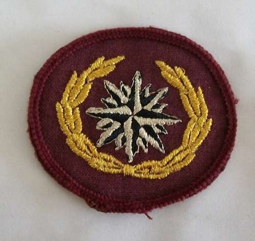 Recce Beret badge - lurex wire on cloth with merrowed border
