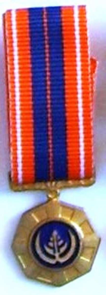Pro Patria medal - Miniature