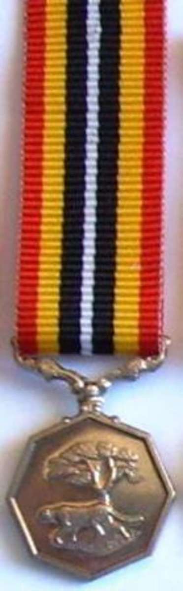 Southern Africa Medal - Miniature