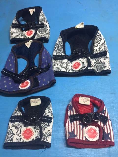 Harness pack for Small Dog