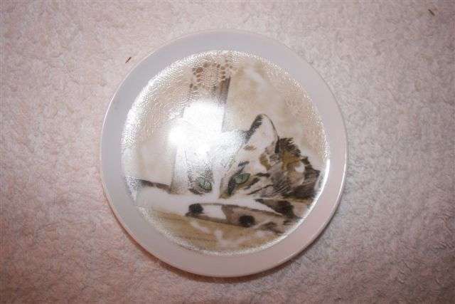 MINOU-ETTES PLATE
