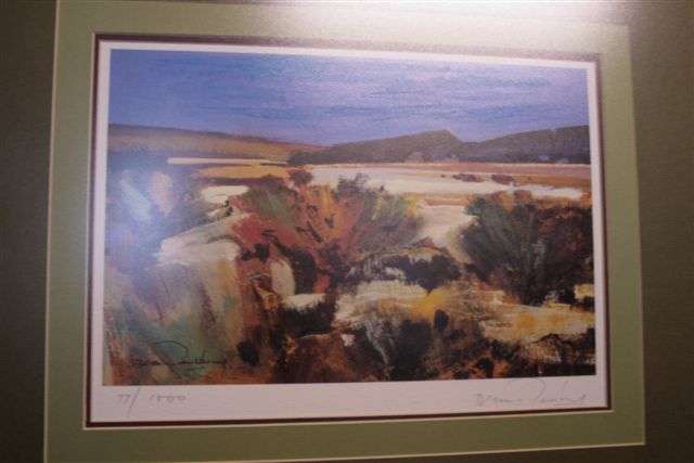 Signed print of landscape: D L van Rensburg