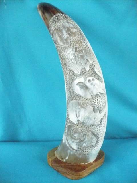 CARVED NGUNI COW HORN