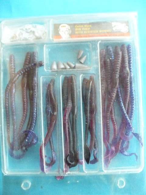 TAKE A KID FISHING    20 SCENTED WORM LURES