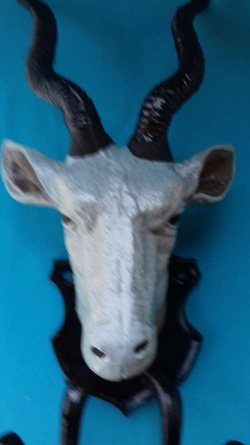 CAST IRON  AFRICAN ANTELOPE  " HEAD"  COAT/ HAT HANGER