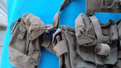 SADF KIDNEY WEBBING WITH 2 ADDITIONAL POUCHES   WITH  HARNESS