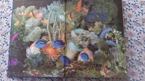 THE BOOK OF THE MARINE AQUARIUM  BY NICK DAKI N