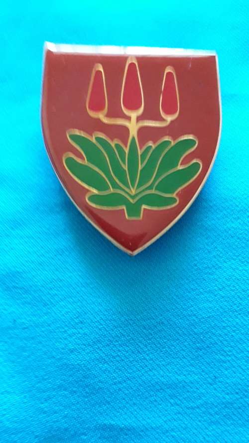 SADF  SHOULDER  FLASH   'EAST LONDON COMMANDO'  3 PINS