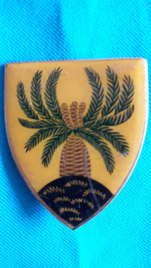 SADF METAL FLASH   '4 SA INFANTRY BATTALION '  ORANGE  2 PINS