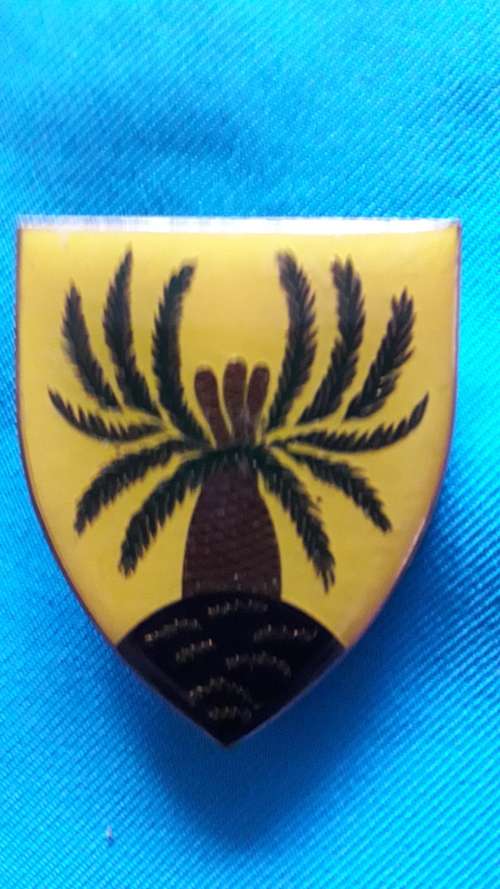 SADF METAL FLASH   '4 SA INFANTRY BATTALION '  3 PINS