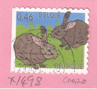 Belgium Single Stamp (Rabbits). As Image.