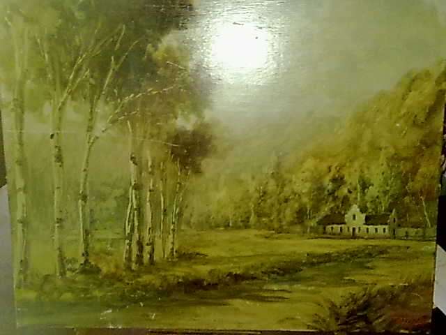 Gino Fasciotti Oil Painting on canvas board