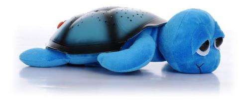 Star Guide Twilight Turtle Blue
