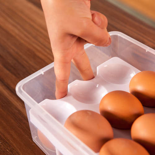 Egg Storage Box