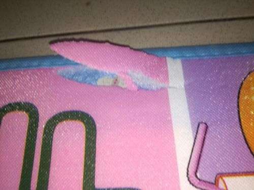 Baby Crawl Mat (damaged)