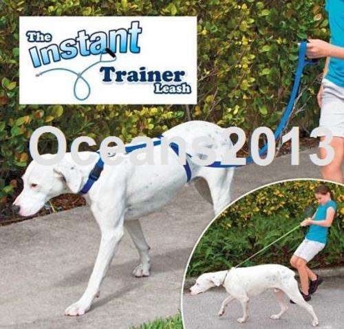 Instant Trainer Leash!!! NEW!!!