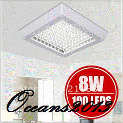 100 LED 8W Ceiling Light
