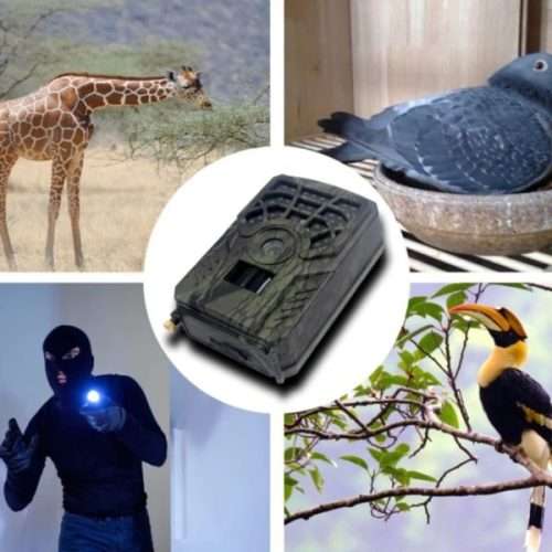 Outdoor Hunting Trail Camera 720p Game Camera With Night Vision Waterproof Infrared Heat