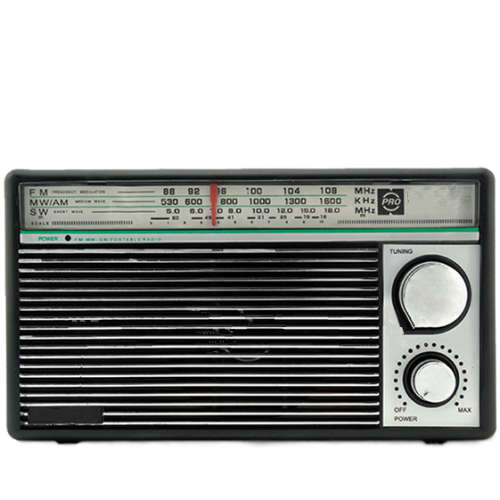 Multifunctional Mono Radio Pointer Type
