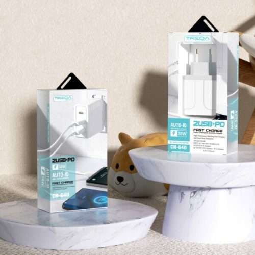 Treqa-CH-6402 USB+ PD 38W Fast Charger With Type C Cable