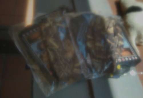 CAMO REAL TREE PRINT BUFF x PACK OF TEN UNITS