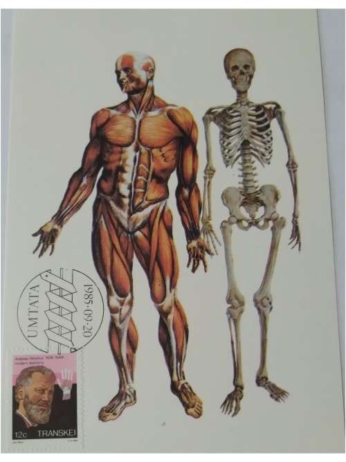 1985 - Transkei Heroes of Medicine -  Maximum Cards