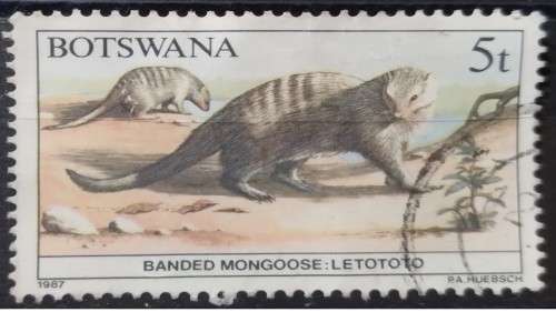 1987 - Botswana - 5t - Banded Mongoose
