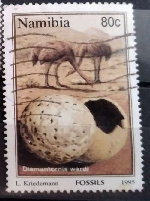 1995 - Namibia - 80c - Fossils