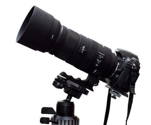 Canon 7D with Sigma APO 120-400mm F4.5-5.6 DG OS HSM