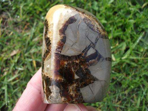 SEPTERYE GIRAFFE SKIN STONE