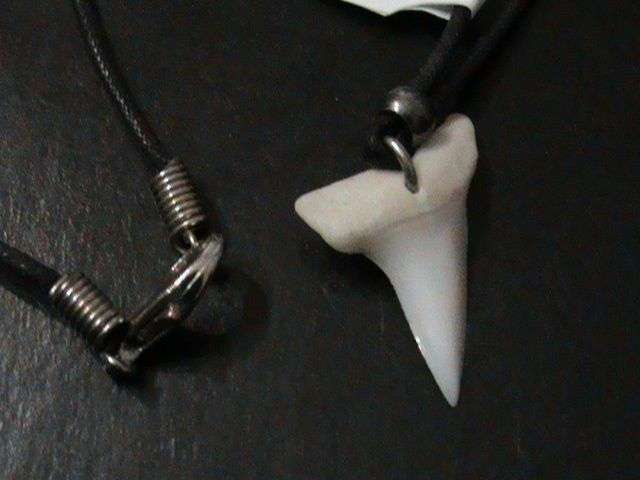 SHARK TEETH NECKLACE